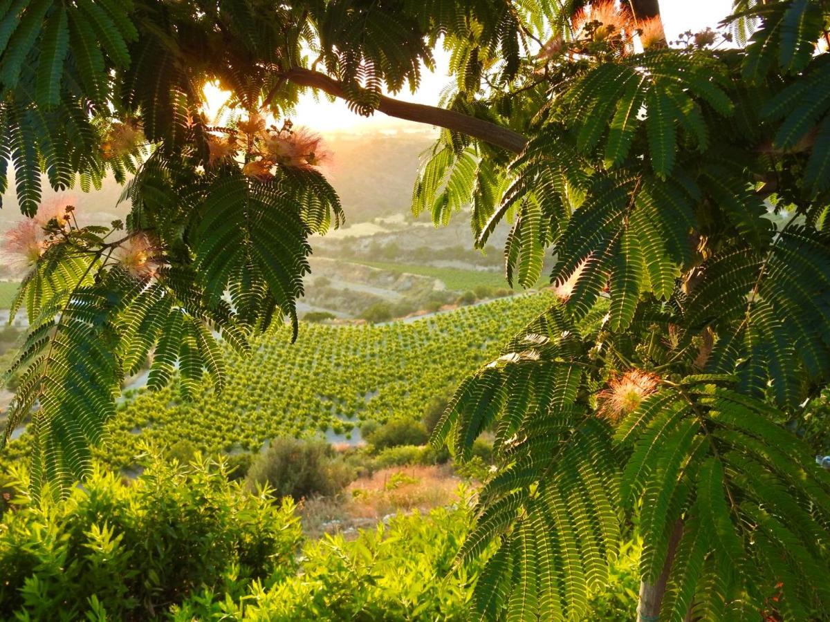 Exclusive Nirvana Yurts Glamping Κάτω Δρυς Εξωτερικό φωτογραφία